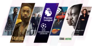 VIP Premium IPTV subscription